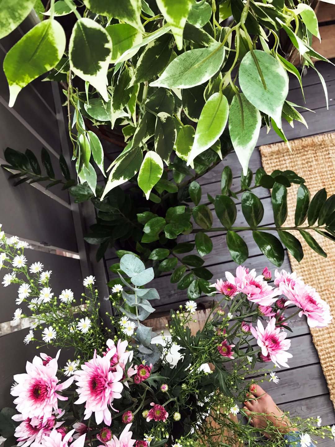 Verandaprosjektet, Hvordan pynte veranda, Planter, Blomster, Botanisk balkong, Urban interior, Industrial interior, Trine Midtun Klisjéhjemmet, Norske stylister